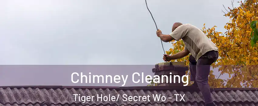 Chimney Cleaning Tiger Hole/ Secret Wo - TX