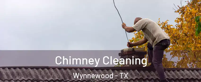 Chimney Cleaning Wynnewood - TX