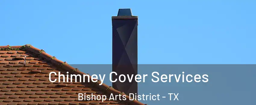 Chimney Cover Services Bishop Arts District - TX