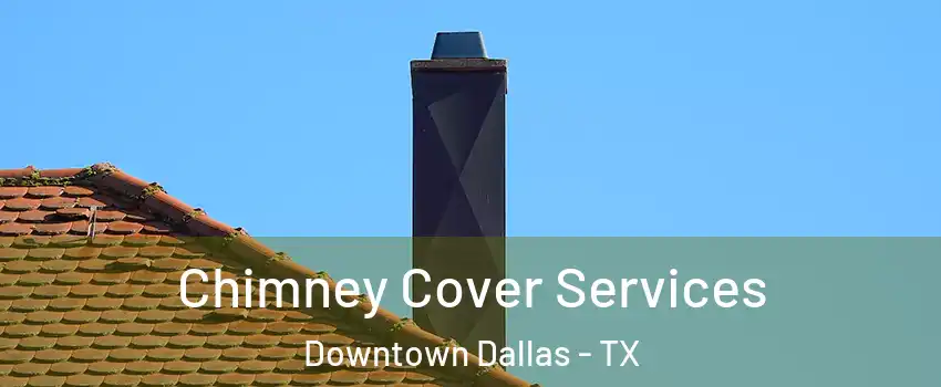 Chimney Cover Services Downtown Dallas - TX