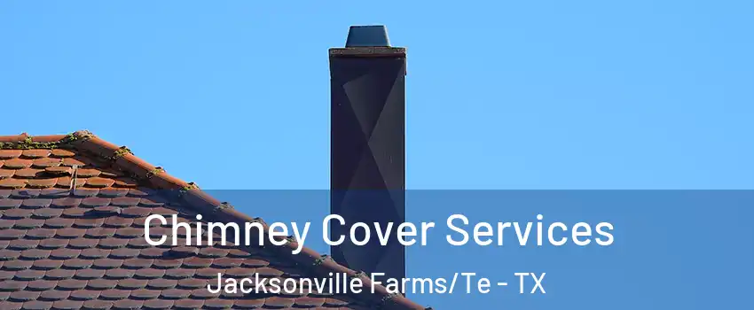 Chimney Cover Services Jacksonville Farms/Te - TX