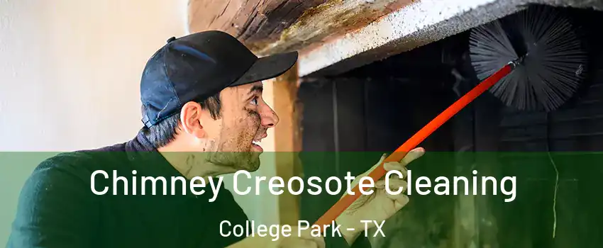 Chimney Creosote Cleaning College Park - TX