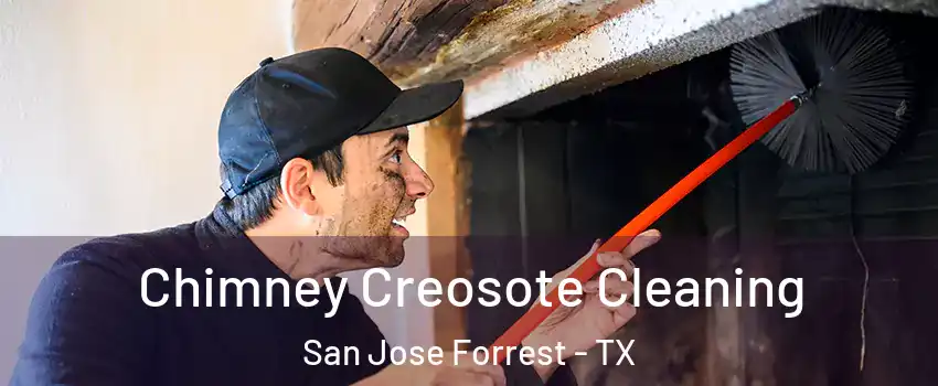 Chimney Creosote Cleaning San Jose Forrest - TX