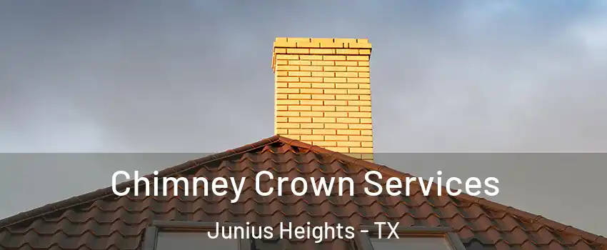 Chimney Crown Services Junius Heights - TX