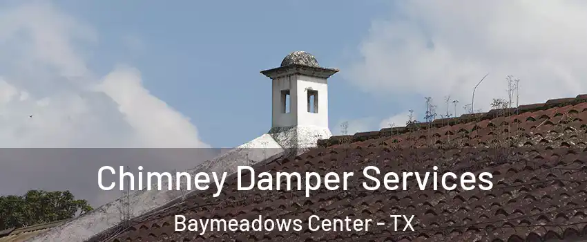 Chimney Damper Services Baymeadows Center - TX