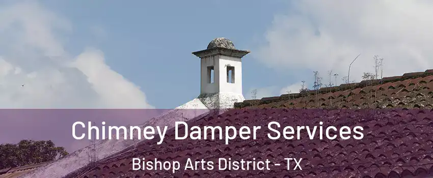 Chimney Damper Services Bishop Arts District - TX