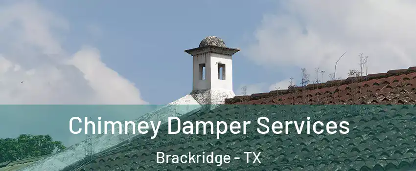 Chimney Damper Services Brackridge - TX