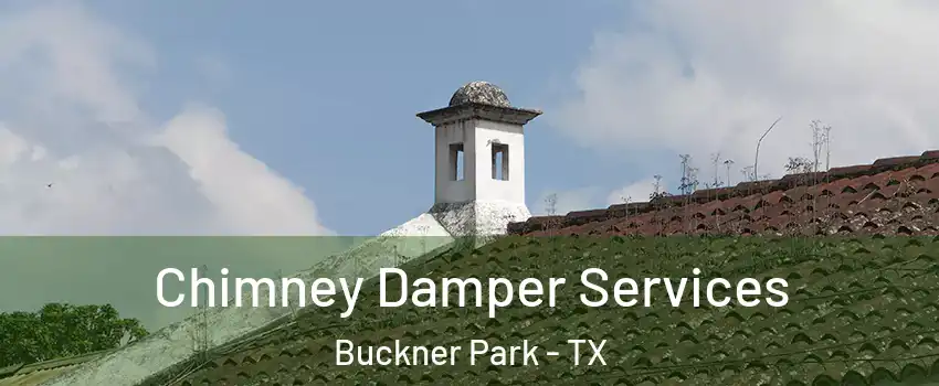 Chimney Damper Services Buckner Park - TX