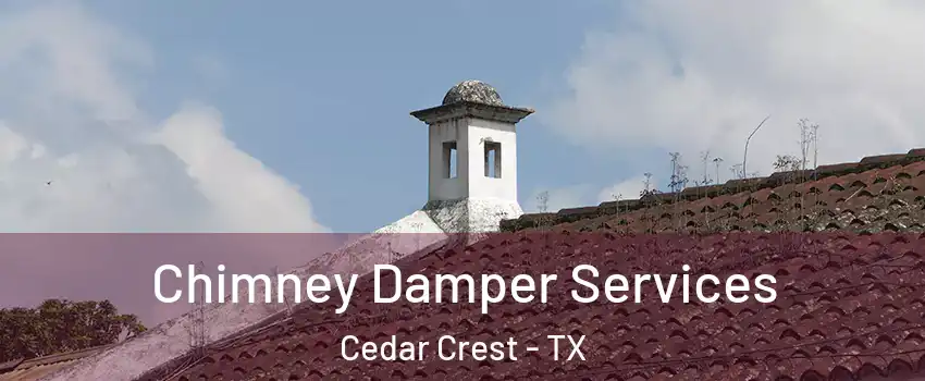 Chimney Damper Services Cedar Crest - TX