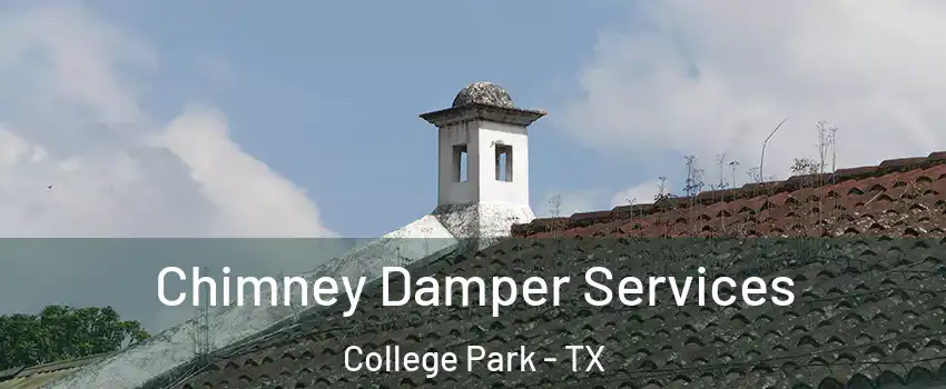 Chimney Damper Services College Park - TX