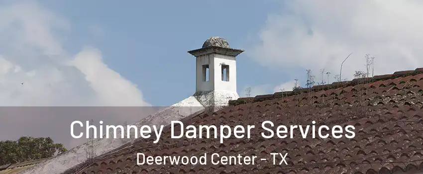 Chimney Damper Services Deerwood Center - TX