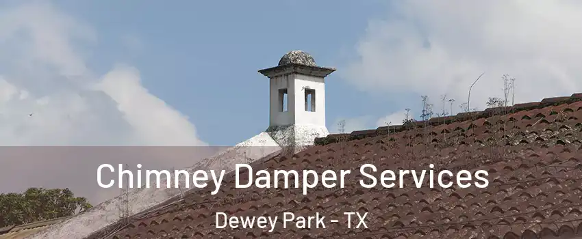 Chimney Damper Services Dewey Park - TX