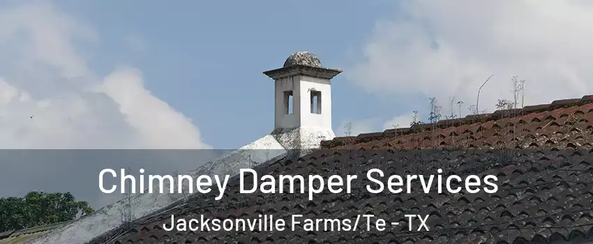 Chimney Damper Services Jacksonville Farms/Te - TX