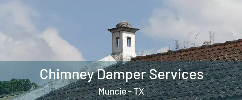 Chimney Damper Services Muncie - TX