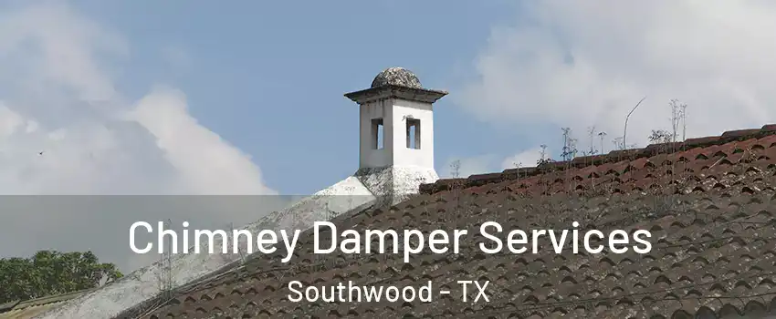 Chimney Damper Services Southwood - TX