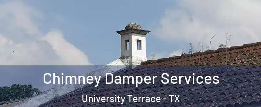 Chimney Damper Services University Terrace - TX