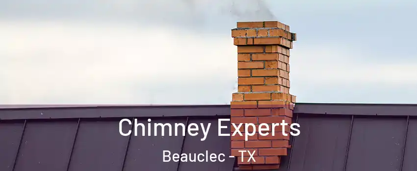 Chimney Experts Beauclec - TX