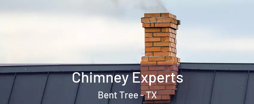 Chimney Experts Bent Tree - TX