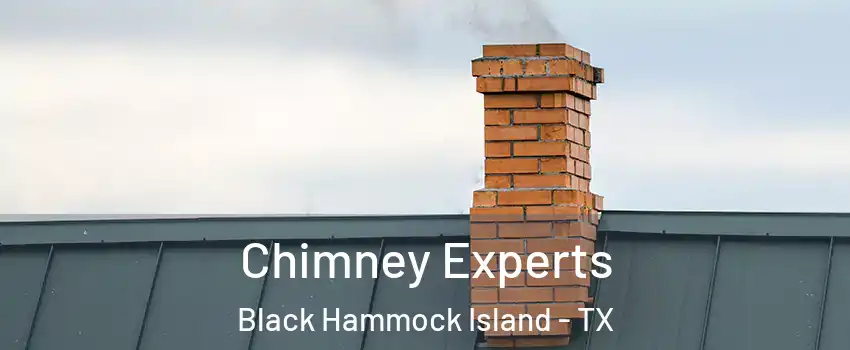 Chimney Experts Black Hammock Island - TX