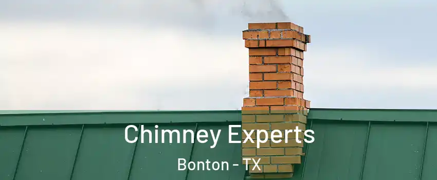 Chimney Experts Bonton - TX