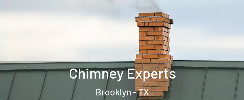 Chimney Experts Brooklyn - TX