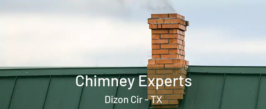 Chimney Experts Dizon Cir - TX