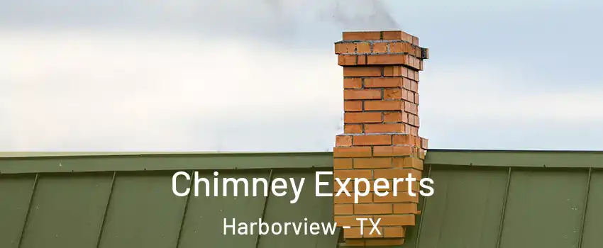 Chimney Experts Harborview - TX