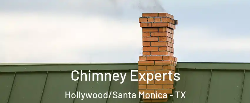 Chimney Experts Hollywood/Santa Monica - TX