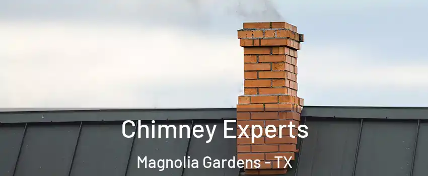 Chimney Experts Magnolia Gardens - TX