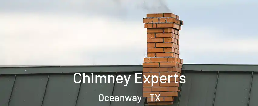 Chimney Experts Oceanway - TX