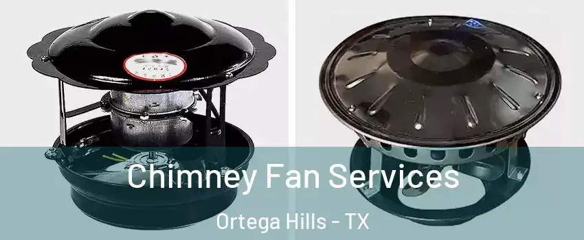 Chimney Fan Services Ortega Hills - TX