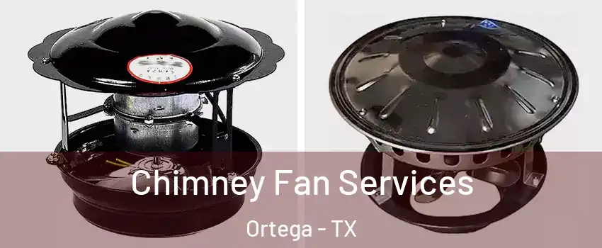 Chimney Fan Services Ortega - TX