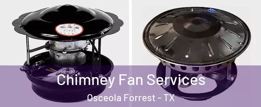 Chimney Fan Services Osceola Forrest - TX