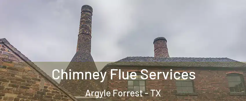 Chimney Flue Services Argyle Forrest - TX