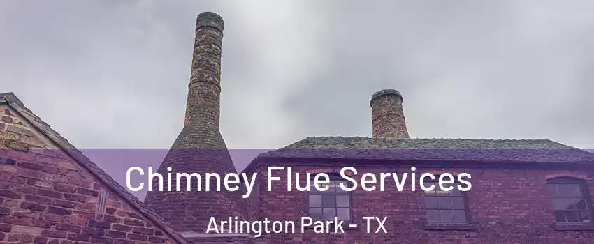 Chimney Flue Services Arlington Park - TX