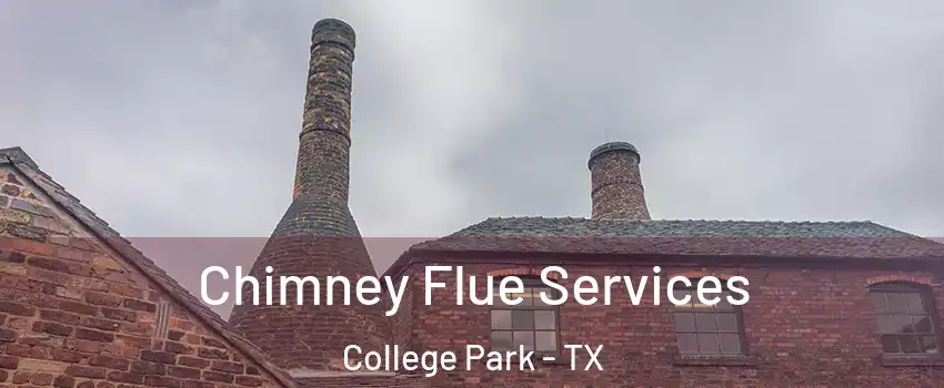 Chimney Flue Services College Park - TX