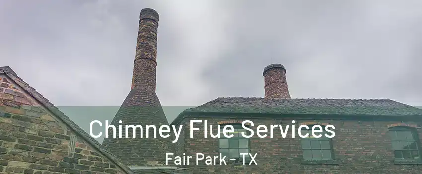 Chimney Flue Services Fair Park - TX