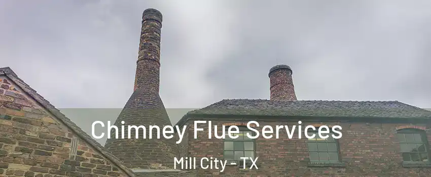 Chimney Flue Services Mill City - TX