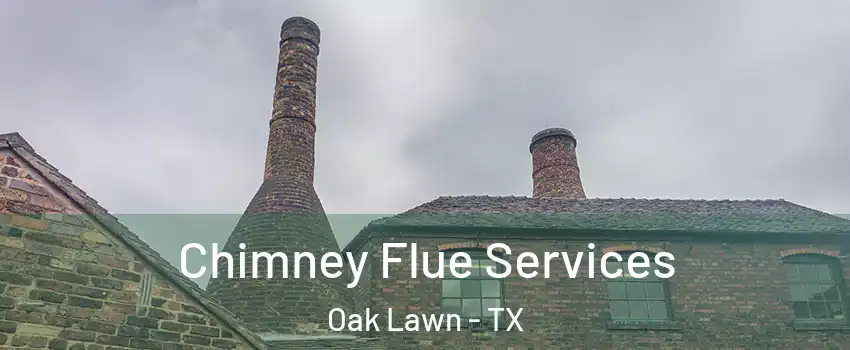 Chimney Flue Services Oak Lawn - TX