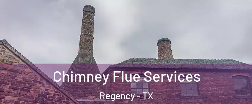 Chimney Flue Services Regency - TX