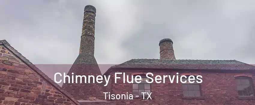 Chimney Flue Services Tisonia - TX