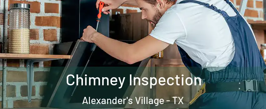 Chimney Inspection Alexander's Village - TX