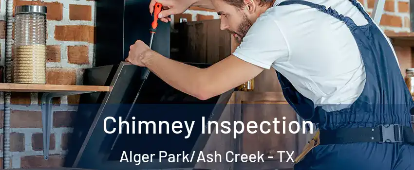 Chimney Inspection Alger Park/Ash Creek - TX