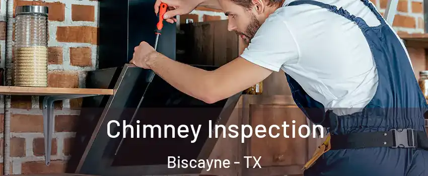 Chimney Inspection Biscayne - TX