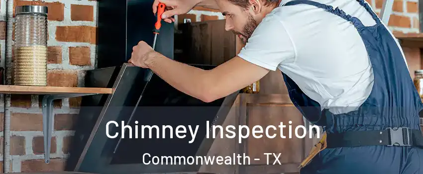 Chimney Inspection Commonwealth - TX