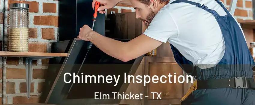 Chimney Inspection Elm Thicket - TX