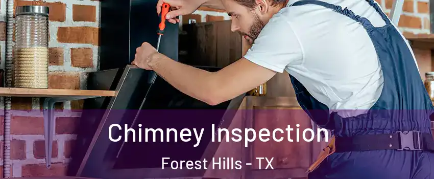 Chimney Inspection Forest Hills - TX