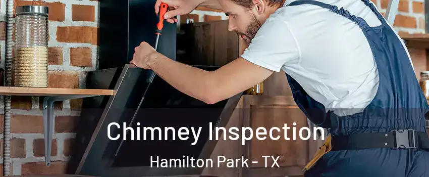 Chimney Inspection Hamilton Park - TX