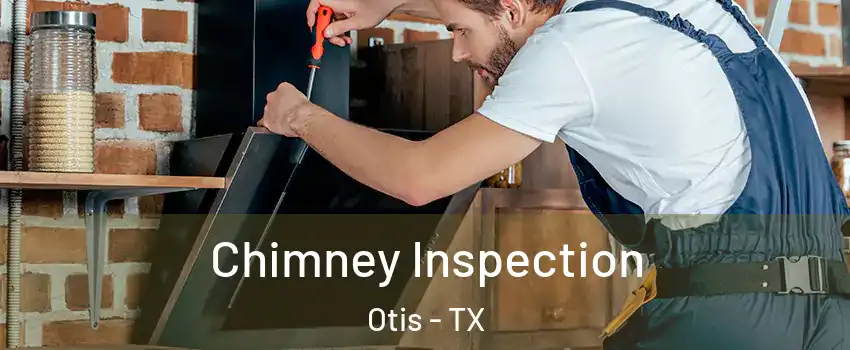 Chimney Inspection Otis - TX