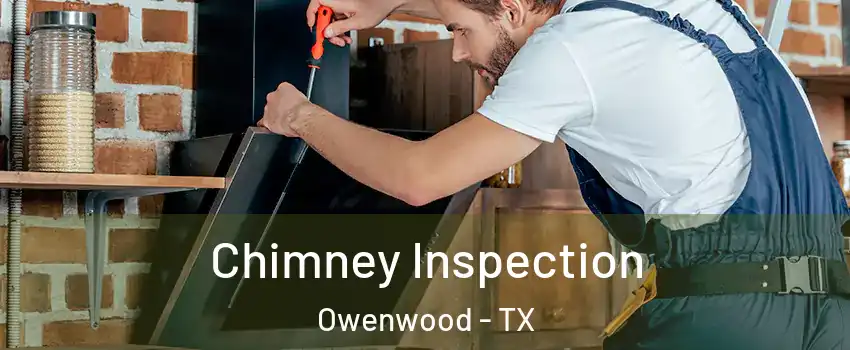 Chimney Inspection Owenwood - TX